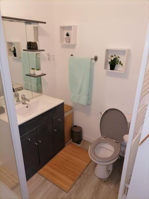 Sci La Malinoise Apartment Albon ภายนอก รูปภาพ